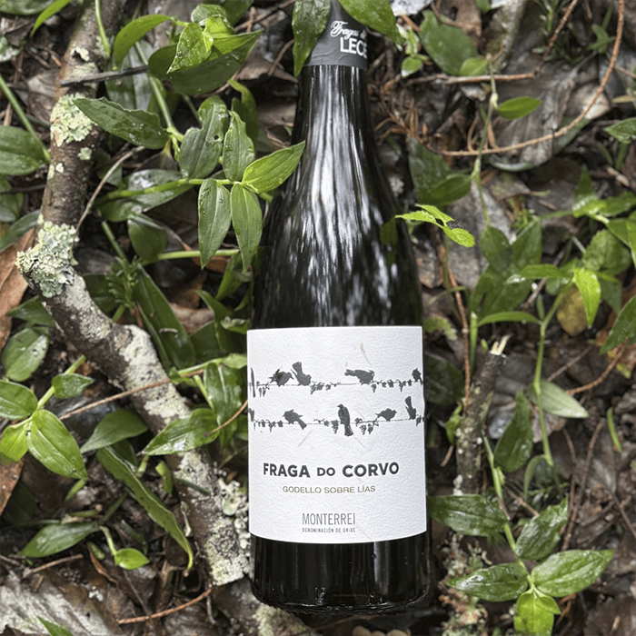 GRANDES PAGOS GALLEGOS1