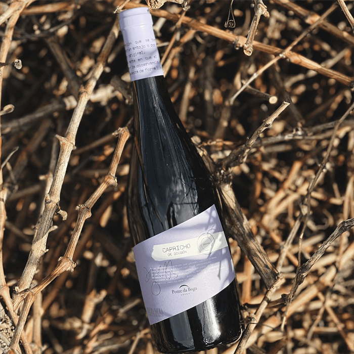 GRANDES PAGOS GALLEGOS3