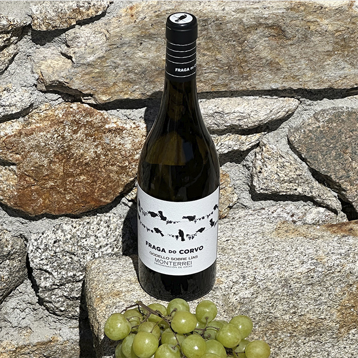 GRANDES PAGOS GALLEGOS4